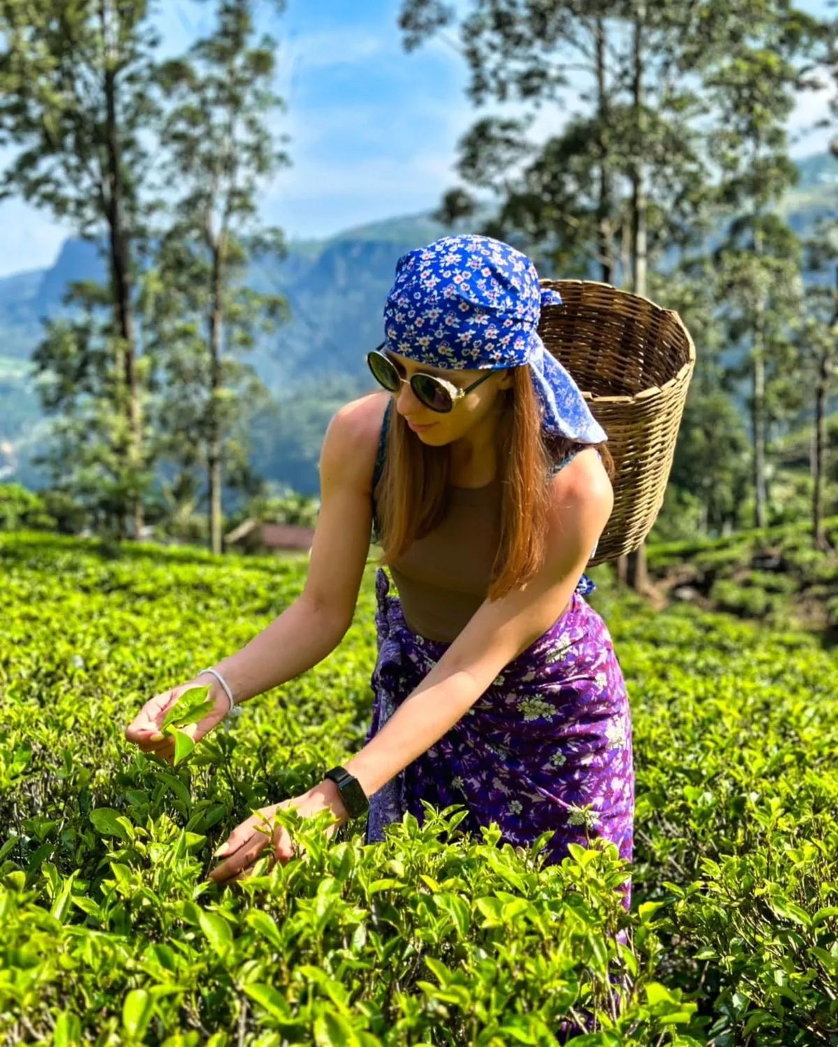 Shehan Travels Sri Lanka Tour Moment